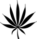 cannabis Business Plans