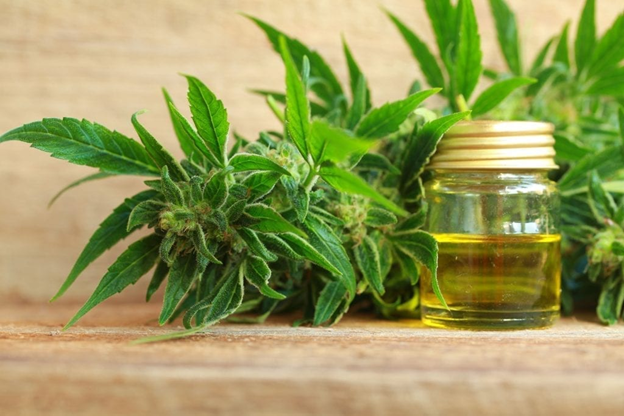 What To Know Before Stepping into the CBD Industry