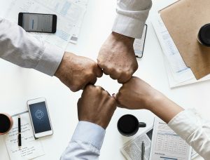 investor business plan